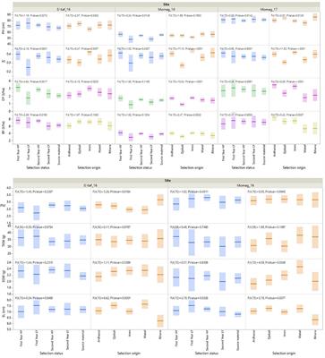 Single-Plant Selection at Ultra-Low Density Enhances Buffering Capacity of Barley Varieties and Landraces to Unpredictable Environments and Improves Their Agronomic Performance